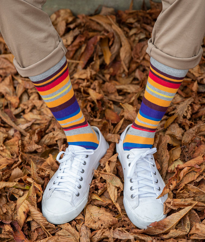 Multi Stripe Fine Sock - Grey