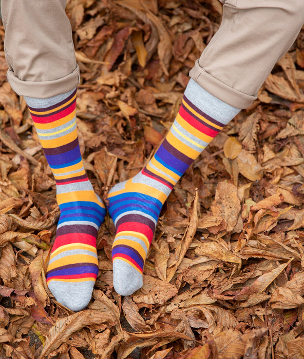 Multi Stripe Fine Sock - Grey