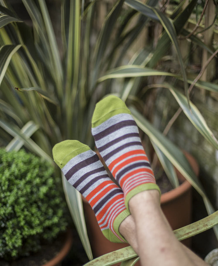 Jungle Stripe Liner Sock - Green 3