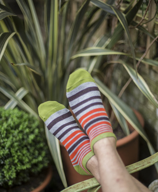 Jungle Stripe Liner Sock - Green 2