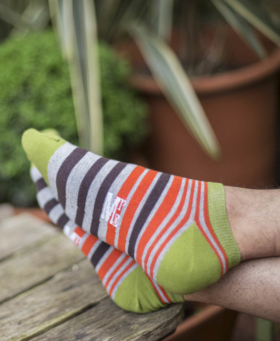 Jungle Stripe Liner Sock - Green 3